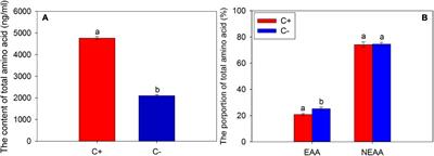 Impact of Huanglongbing Pathogen Infection on the Amino Acid Composition in Both Citrus Plants and the Asian Citrus Psyllid